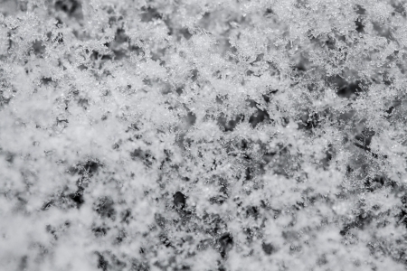 Snow Backgroundの写真素材