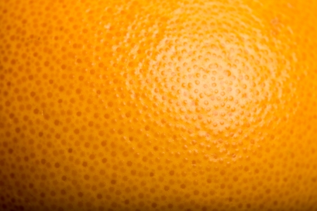 Ripe Orange Backgroundの写真素材