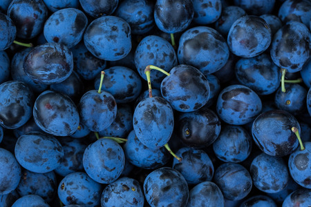 Ripe Plums Backgroundの写真素材