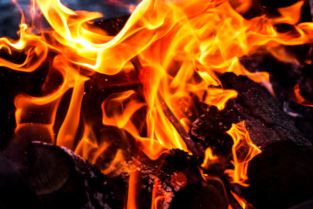 Burning fire flame background