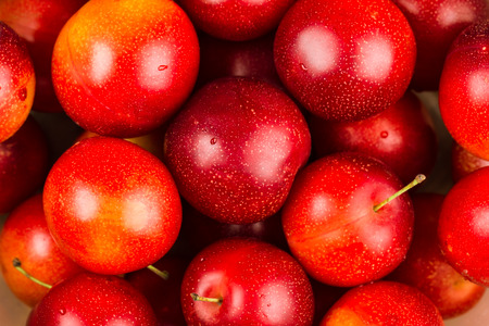 Ripe Plums Backgroundの写真素材