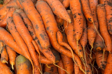 Carrot background