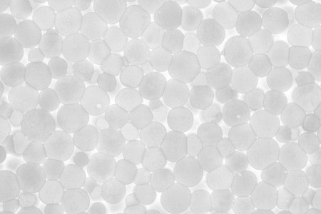 Polyfoam background