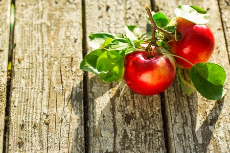 Apples on wooden table over summer bokeh backgroundの写真素材