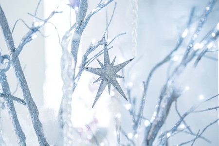Silver Christmas star on the branch of tree. Winter holidays concept