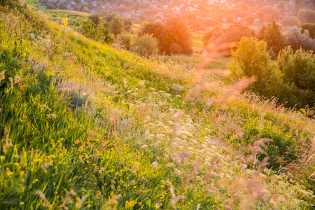 Beautiful rural landscape with sunrise over a meadow. Soft focusの写真素材