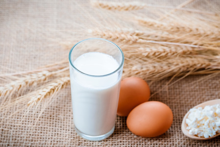 Cottage cheese, glass of milk, two eggs, wooden spoon with cottage cheese and wheat ears lie on the napkin from a burlap on the old wooden tableの写真素材