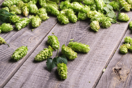 Fresh green hops on a wooden tableの写真素材