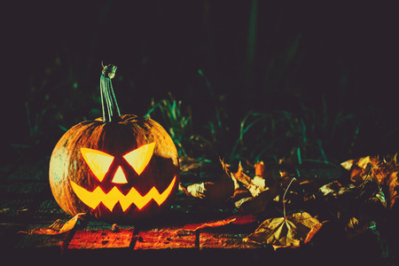Glowing pumpkin symbolizing the head of old Jack, with autumn leaves night in a spooky dark background. Soft focus. shallow DOFの写真素材