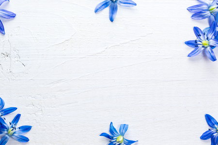 Spring frame with flowers snowdrops on white wooden background with free spaceの写真素材