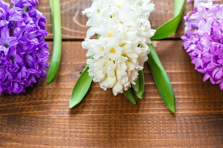 Fresh hyacinth flowers on wooden background. Beautiful idea for greeting cards for Valentine's day, March 8 and mother's day. Free spaceの写真素材