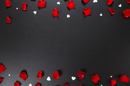 Beautiful red rose petals and white hearts. Postcard for Valentine's Day, March 8, mother's Day or wedding. Free space for textの写真素材