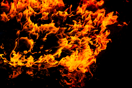 Beautiful burning fire flame background and coalsの写真素材