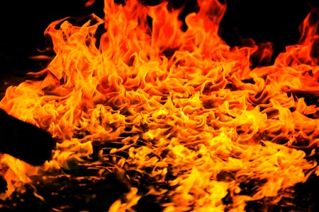Beautiful burning fire flame background and coals