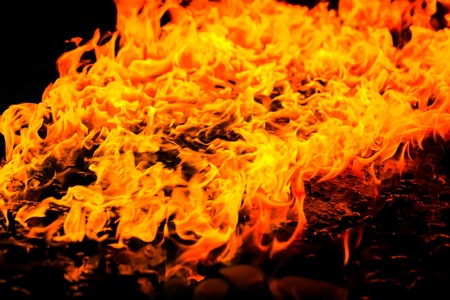 Beautiful burning fire flame background and coalsの写真素材