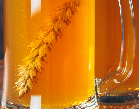 The spikelet of barley in beer mug of light beer. Beautiful background of the Oktoberfestの写真素材