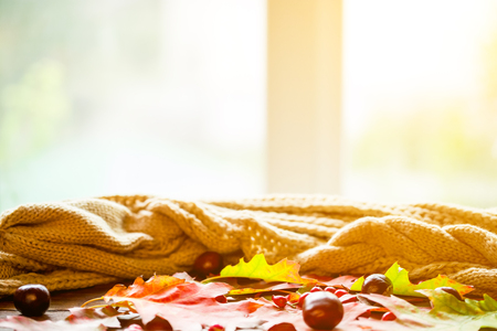 Autumn background with fruits and berries with a bright-colored leaves on the old boards on the window background with copy space. The layout offers and seasonal holiday cardの写真素材
