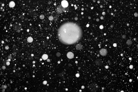 Falling snow on black background.の写真素材