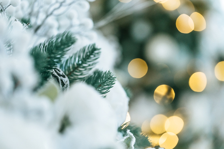 Defocused background Living room with christmas treeの写真素材