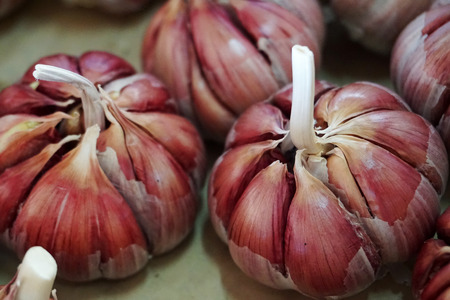 garlic in vegetable shop Peloponnese, Greece
