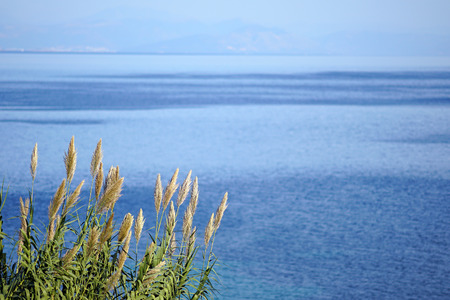 View of the inland sea of ââCorfu with the coasts of Albania as a background, in Greeceの写真素材