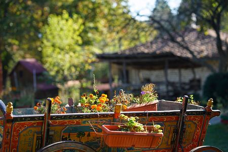 Traditional Bulgarian wagon with wooden wheels with vases full of flowering plants,detailの写真素材