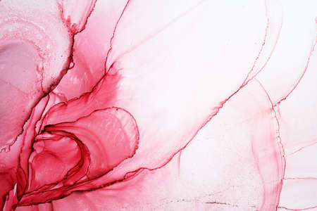 Abstract flower alcohol ink texture, macro photoの写真素材