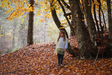 girl in autumn forestの写真素材