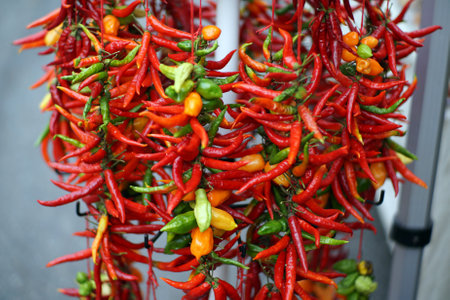 Autumn in Italy, Calabria, hot red peppers