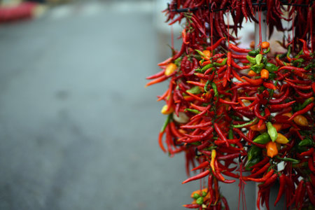 Autumn in Italy, Calabria, hot red peppersの写真素材
