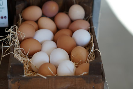 Natural eggs from the farm, Italyの写真素材