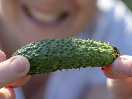 Environmentally friendly product collects farmerの写真素材