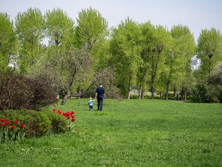Sunny summer day with green grass, sunlit with scattered canopy trees, people resting in the Parkの写真素材
