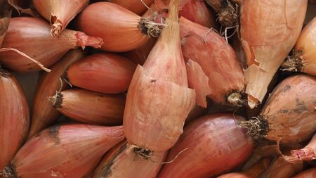 Fresh onion. Bow background. Ripe onions. Onions on the marketの写真素材