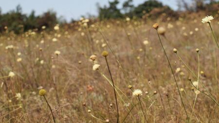 Landscape photography of nature in summerの写真素材
