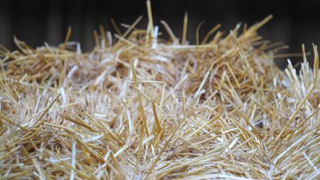 Dry baled hay bales stack, rural countryside straw background.の写真素材