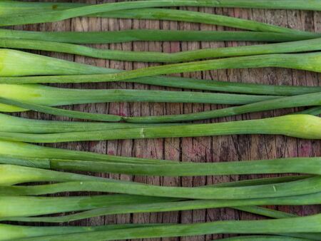 They are also known as garlic spears , stems , or tops .の写真素材