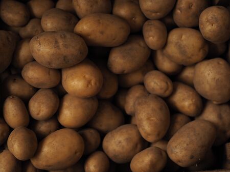 A pile of organic potatoes lying in a trayの写真素材