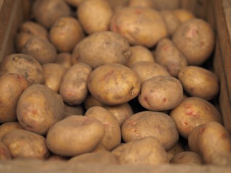 A pile of organic potatoes lying in a trayの写真素材