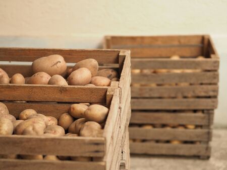 A pile of organic potatoes lying in a trayの写真素材