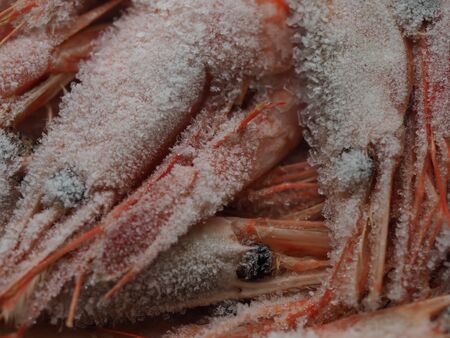 Defrost frozen shrimp covered with ice in the open airの写真素材