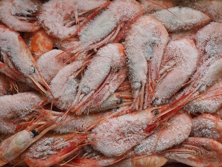 Defrost frozen shrimp covered with ice in the open airの写真素材