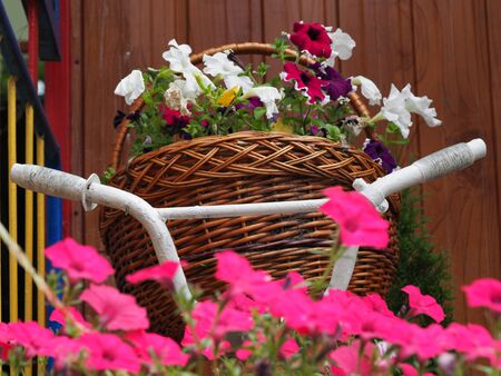 An old Bicycle is decorated with flowersの写真素材