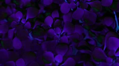 Background of psychedelic plantsの写真素材