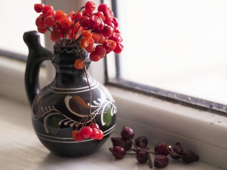Close-up of Rowan berries in a clay jug on the windowsillの写真素材