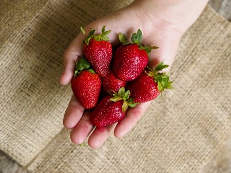 Delicious red strawberries are already in your handの写真素材
