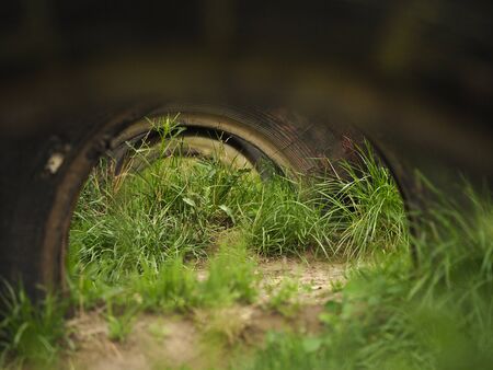 Overgrown with green grass car tiresの写真素材