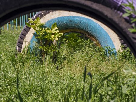 Overgrown with green grass car tiresの写真素材