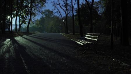 View of a night Park with an empty benchの写真素材