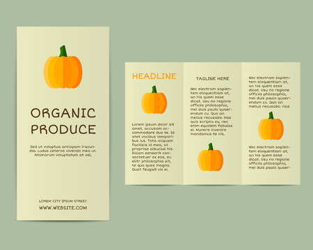 Natural business corporate identity, brochure design with pumpkin. Branding your organic company. Poster, flyer. Best for natural shop, organic fairs and local companies. Vector illustrationのイラスト素材